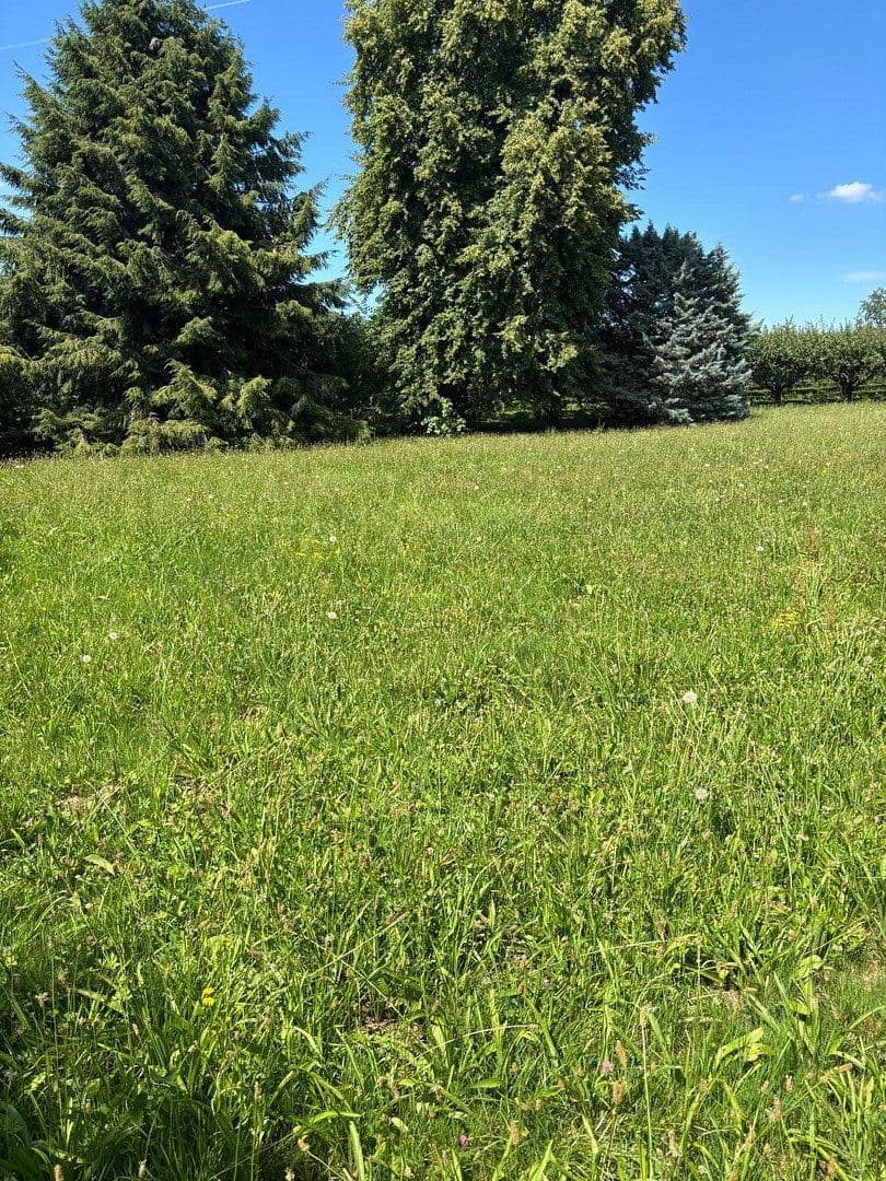 plot for sale, 1,276 m², Renchen, Baden-Württemberg plot for sale, 1,276 m², Renchen, Baden-Württemberg