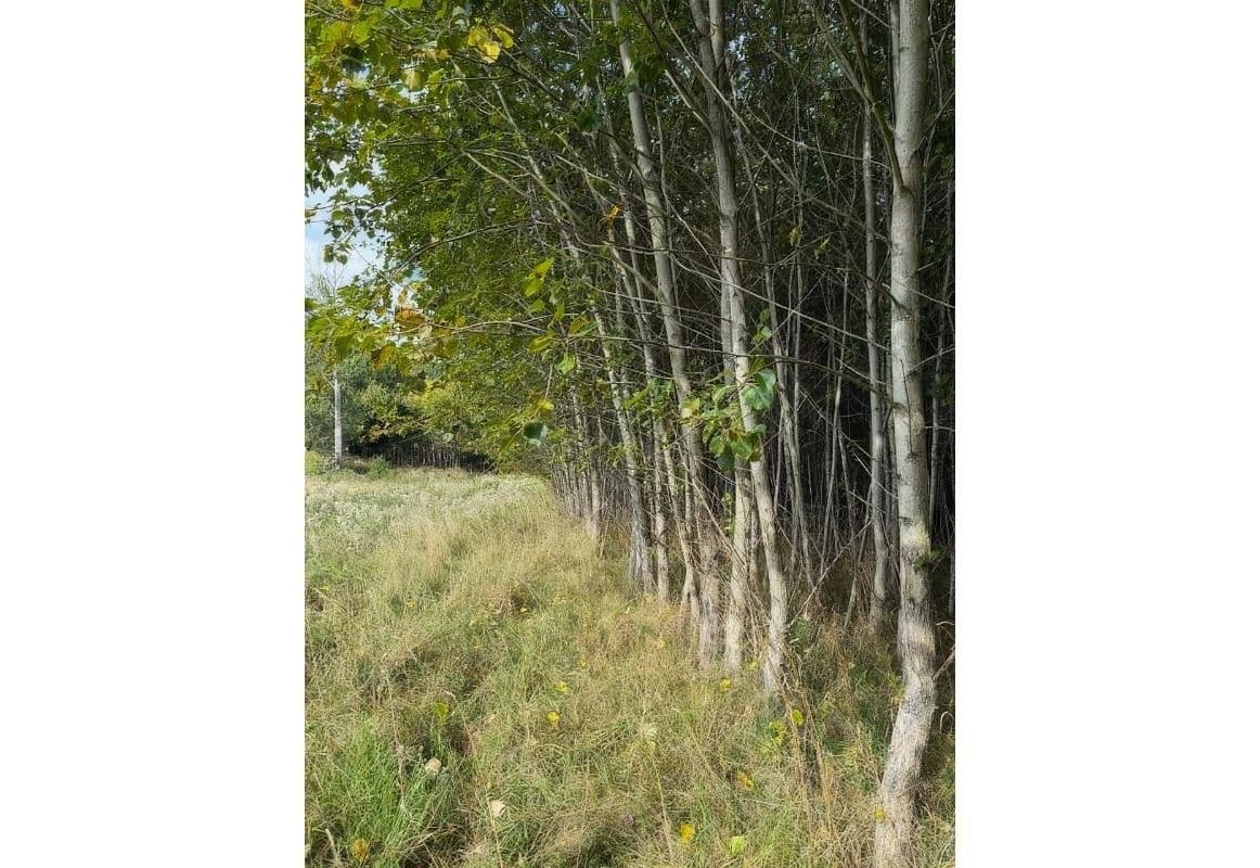 plot for sale, 108,179 m², Česká Kamenice, Ústecký Region plot for sale, 108,179 m², Česká Kamenice, Ústecký Region