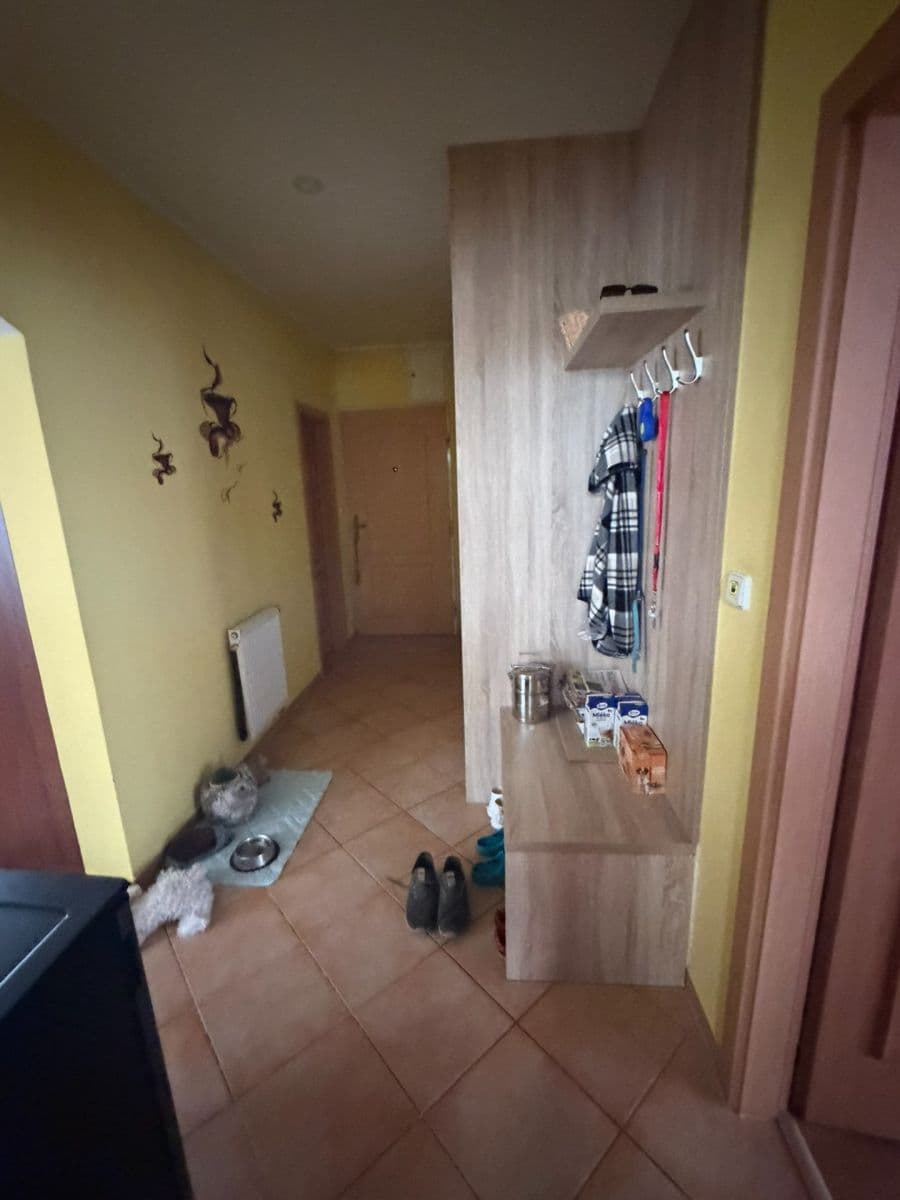 1 bedroom with open-plan kitchen flat for sale, 62 m², J. Wolkra, Bzenec, Jihomoravský Region 1 bedroom with open-plan kitchen flat for sale, 62 m², J. Wolkra, Bzenec, Jihomoravský Region