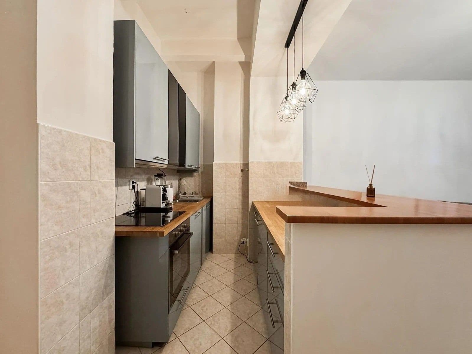 1 bedroom with open-plan kitchen flat to rent, 68 m², Peckova, Prague, Prague 1 bedroom with open-plan kitchen flat to rent, 68 m², Peckova, Prague, Prague