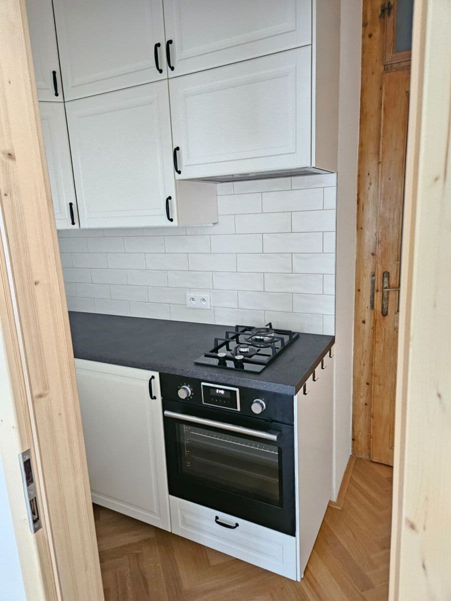 1 bedroom with open-plan kitchen flat to rent, 40 m², Přístavní, Prague, Prague 1 bedroom with open-plan kitchen flat to rent, 40 m², Přístavní, Prague, Prague