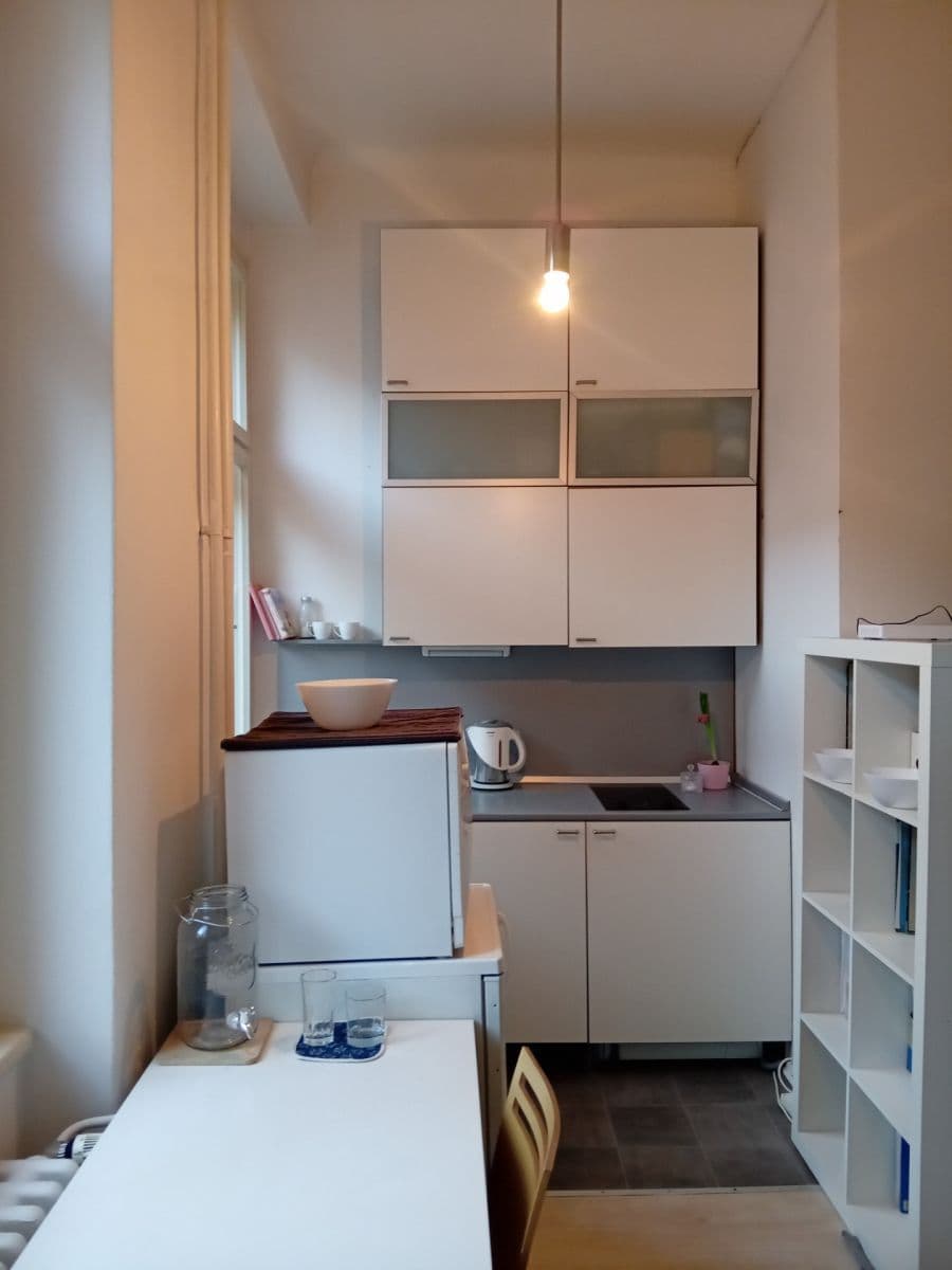 1 bedroom with open-plan kitchen flat to rent, 19 m², Londýnská, Prague, Prague 1 bedroom with open-plan kitchen flat to rent, 19 m², Londýnská, Prague, Prague