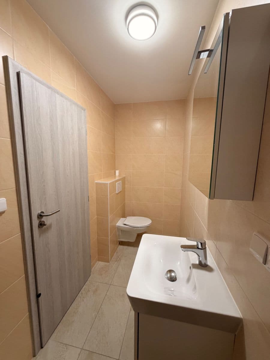 1 bedroom with open-plan kitchen flat to rent, 48 m², Hradišťská, Uherský Ostroh, Zlínský Region 1 bedroom with open-plan kitchen flat to rent, 48 m², Hradišťská, Uherský Ostroh, Zlínský Region
