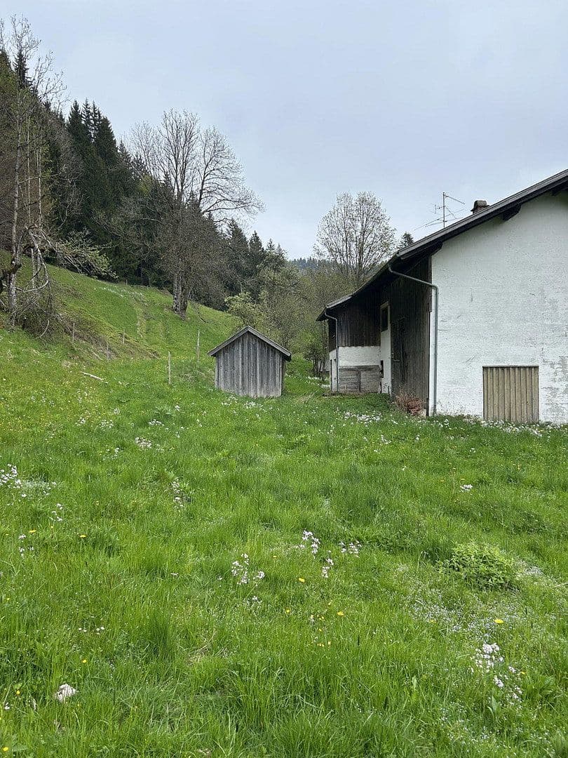 plot for sale, 50,000 m², Kreuzbachthal, Buchenberg, Bavaria plot for sale, 50,000 m², Kreuzbachthal, Buchenberg, Bavaria