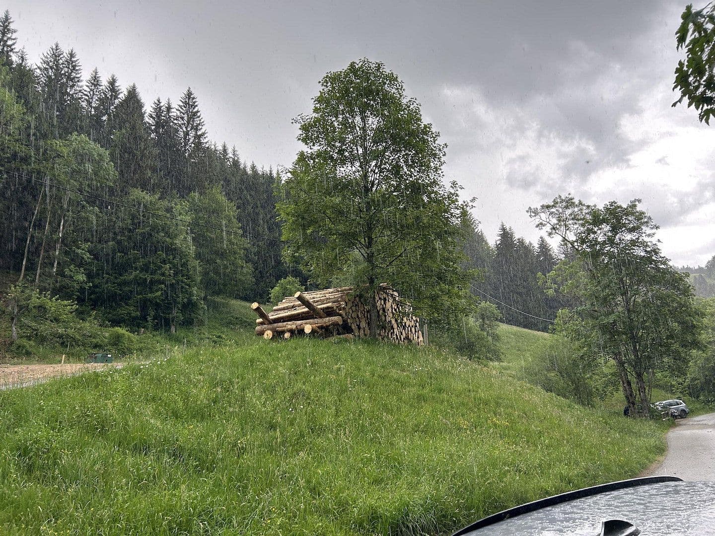 plot for sale, 50,000 m², Kreuzbachthal, Buchenberg, Bavaria plot for sale, 50,000 m², Kreuzbachthal, Buchenberg, Bavaria