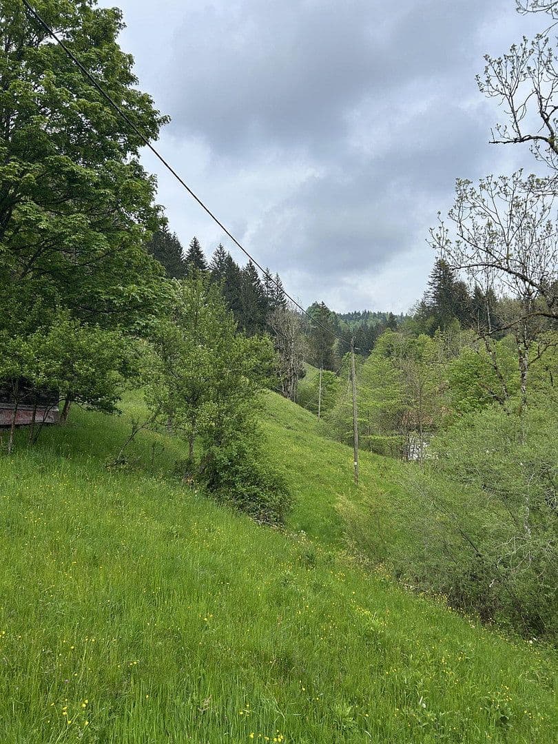 plot for sale, 50,000 m², Kreuzbachthal, Buchenberg, Bavaria plot for sale, 50,000 m², Kreuzbachthal, Buchenberg, Bavaria