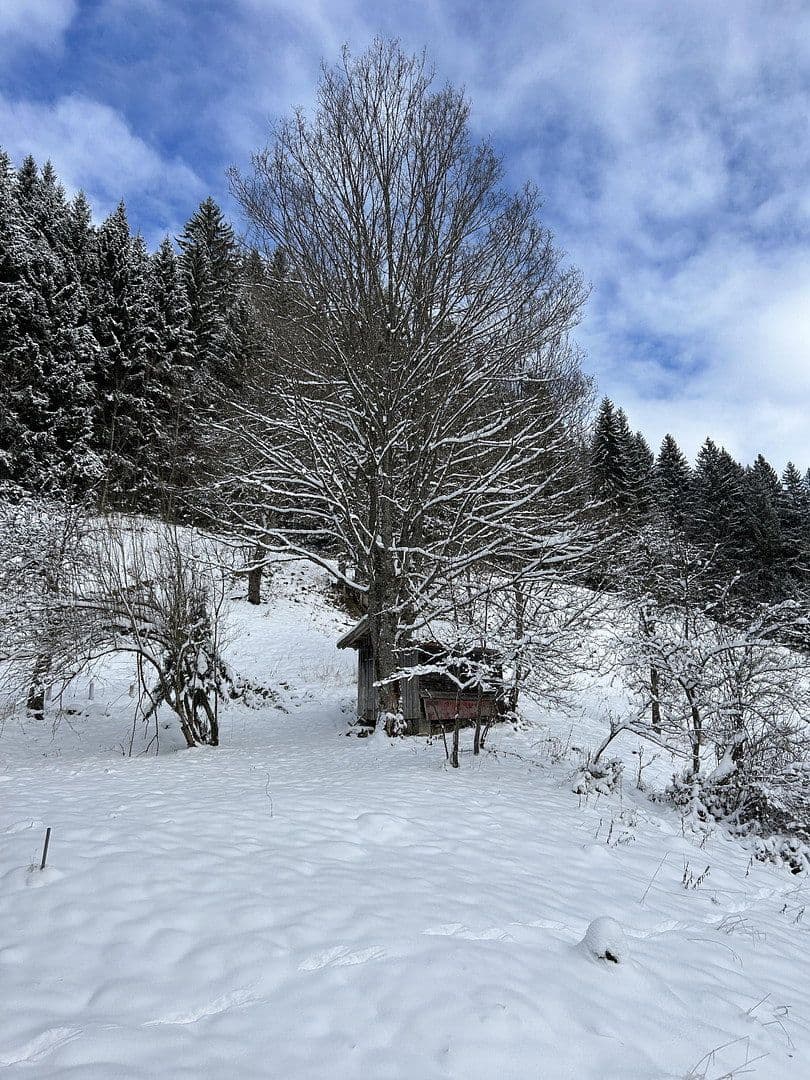 plot for sale, 50,000 m², Kreuzbachthal, Buchenberg, Bavaria plot for sale, 50,000 m², Kreuzbachthal, Buchenberg, Bavaria