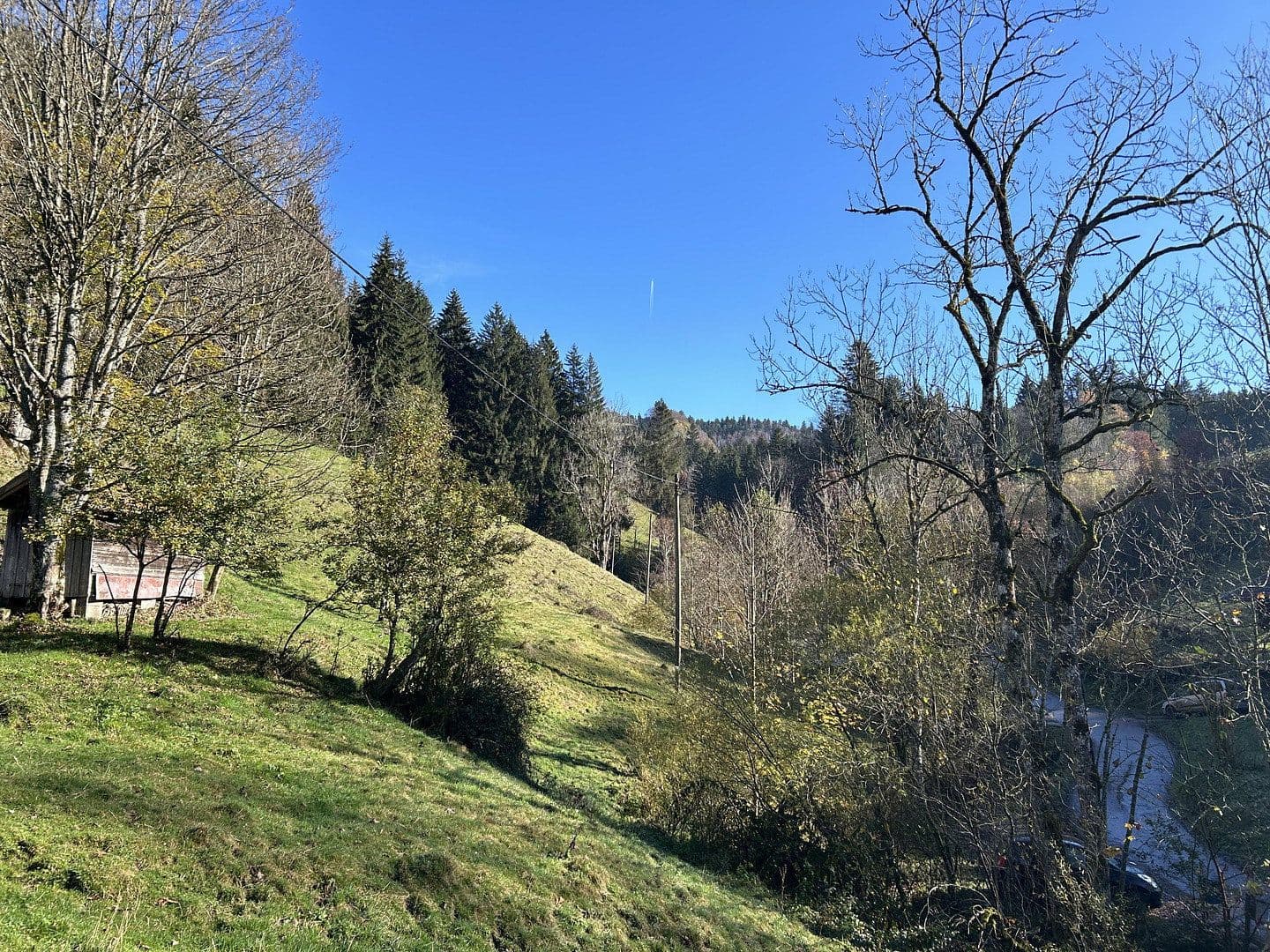 plot for sale, 50,000 m², Kreuzbachthal, Buchenberg, Bavaria plot for sale, 50,000 m², Kreuzbachthal, Buchenberg, Bavaria