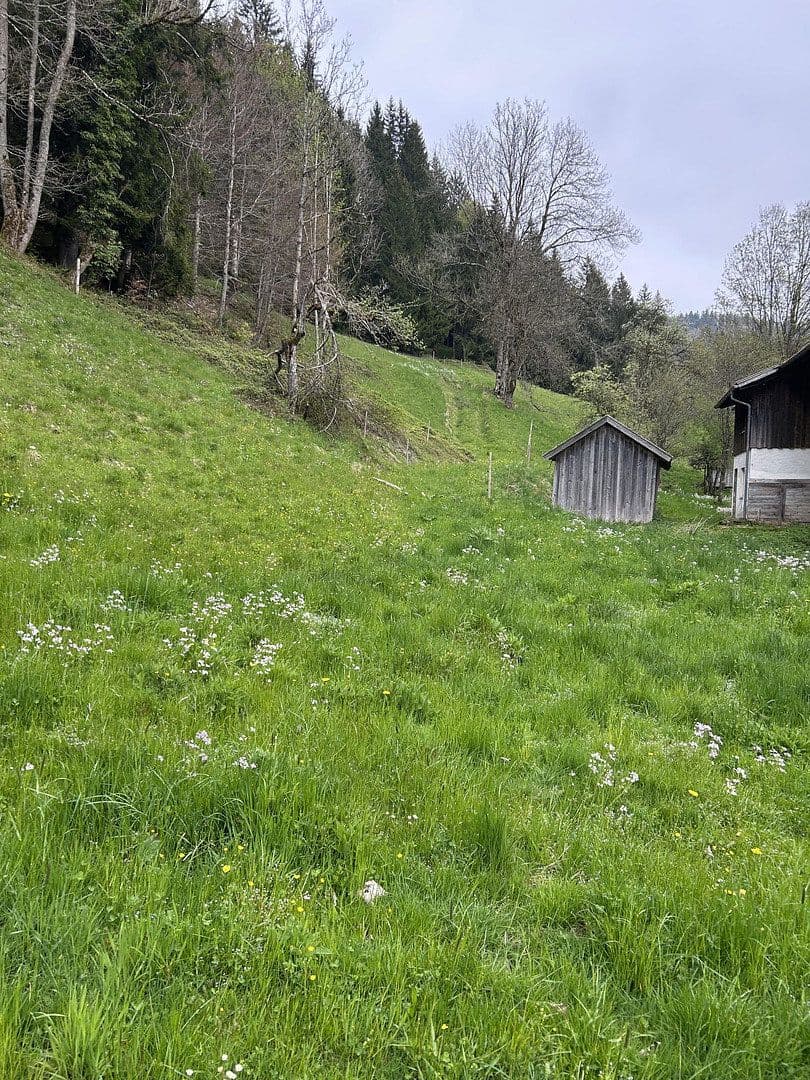 plot for sale, 50,000 m², Kreuzbachthal, Buchenberg, Bavaria plot for sale, 50,000 m², Kreuzbachthal, Buchenberg, Bavaria