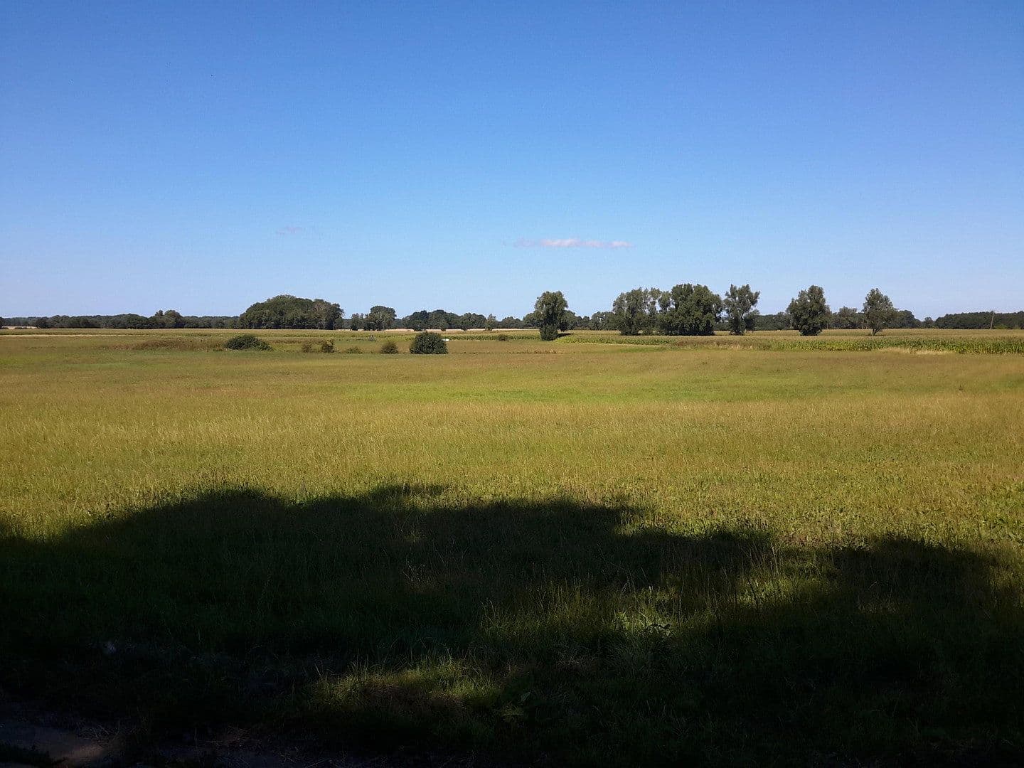plot for sale, 2,893 m², Schweikvitz 10 b, Kluis, Mecklenburg-Vorpommern plot for sale, 2,893 m², Schweikvitz 10 b, Kluis, Mecklenburg-Vorpommern