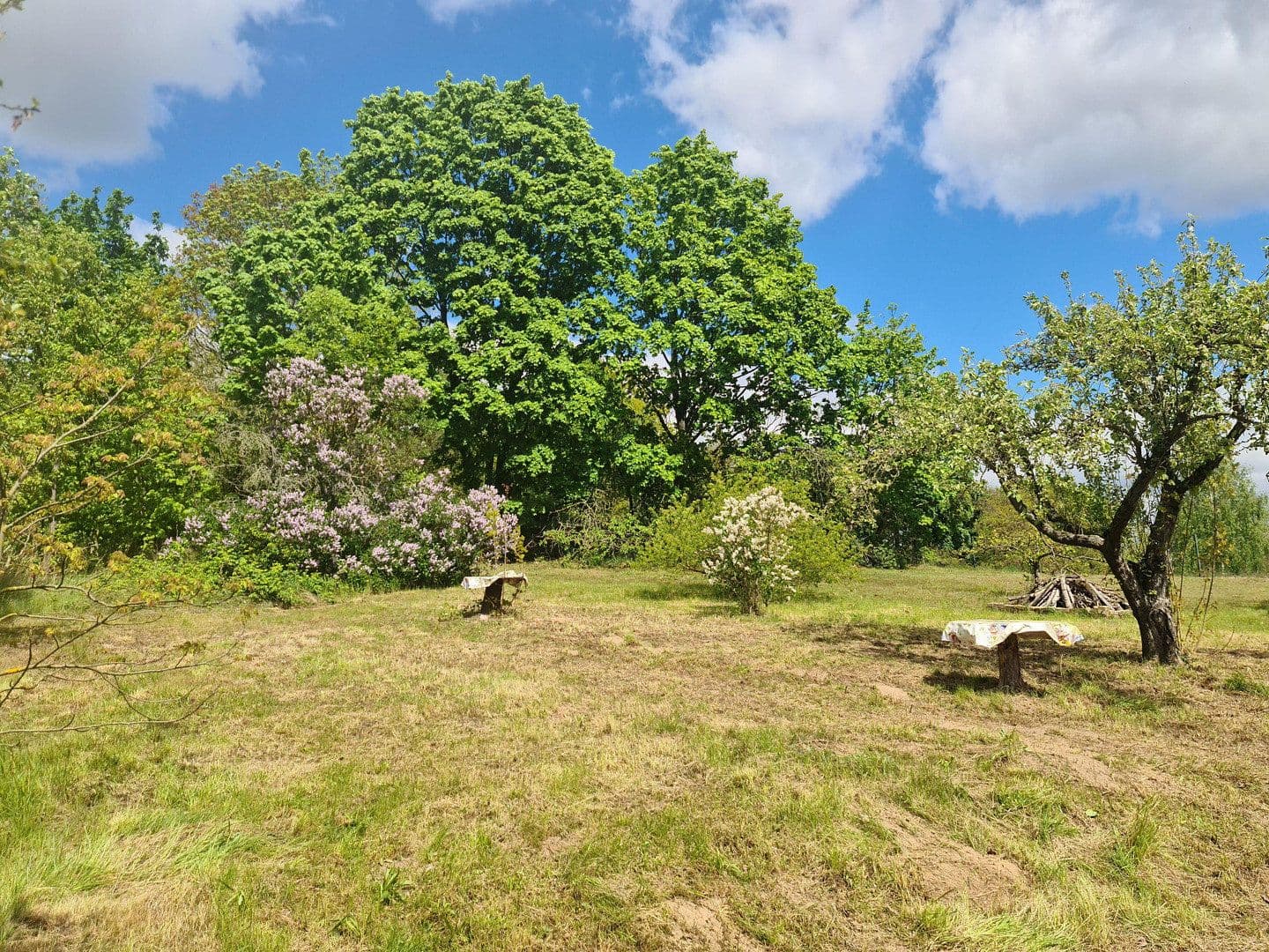 plot for sale, 2,679 m², Werder (Havel), Brandenburg plot for sale, 2,679 m², Werder (Havel), Brandenburg