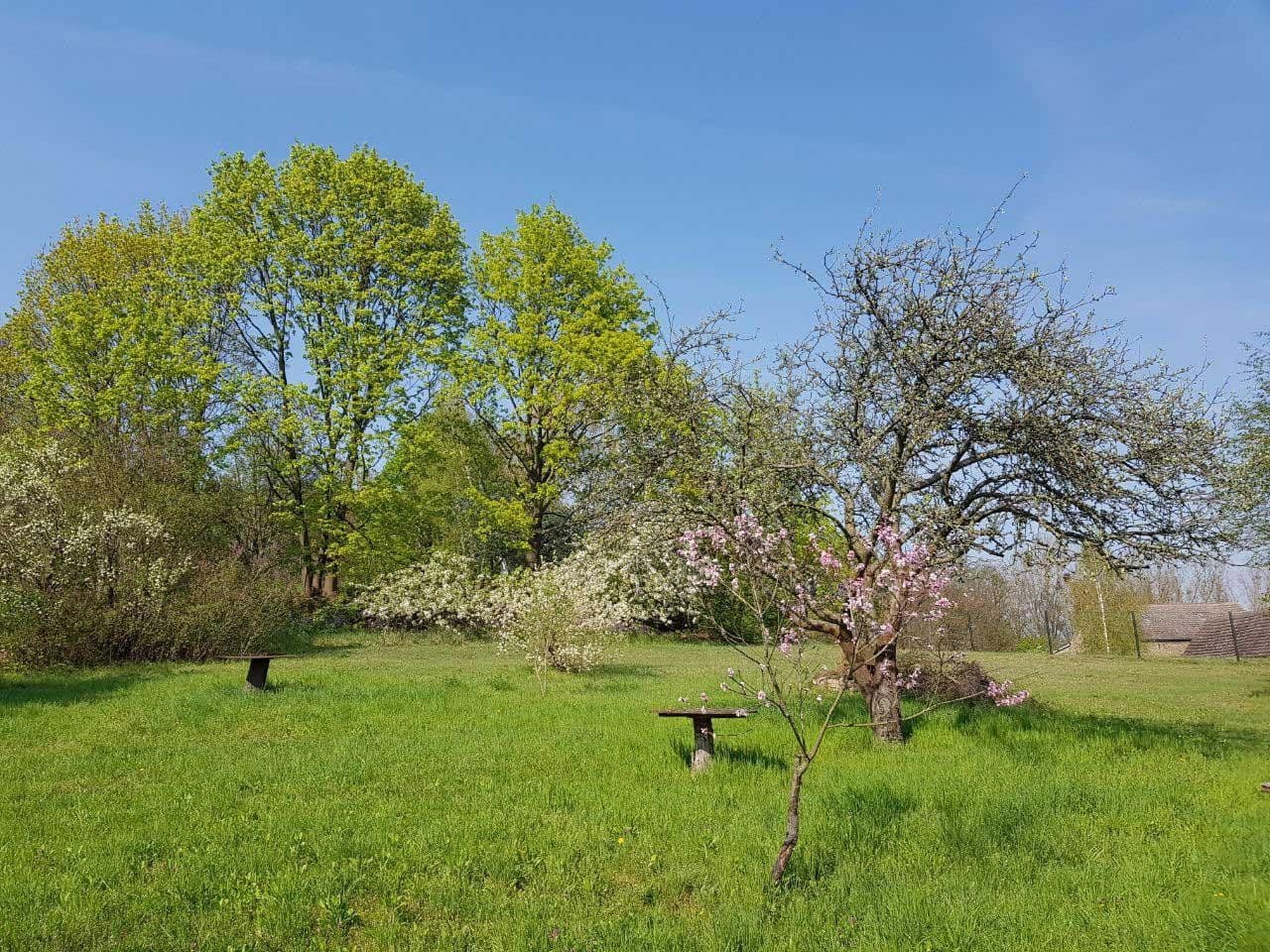 plot for sale, 2,679 m², Werder (Havel), Brandenburg plot for sale, 2,679 m², Werder (Havel), Brandenburg