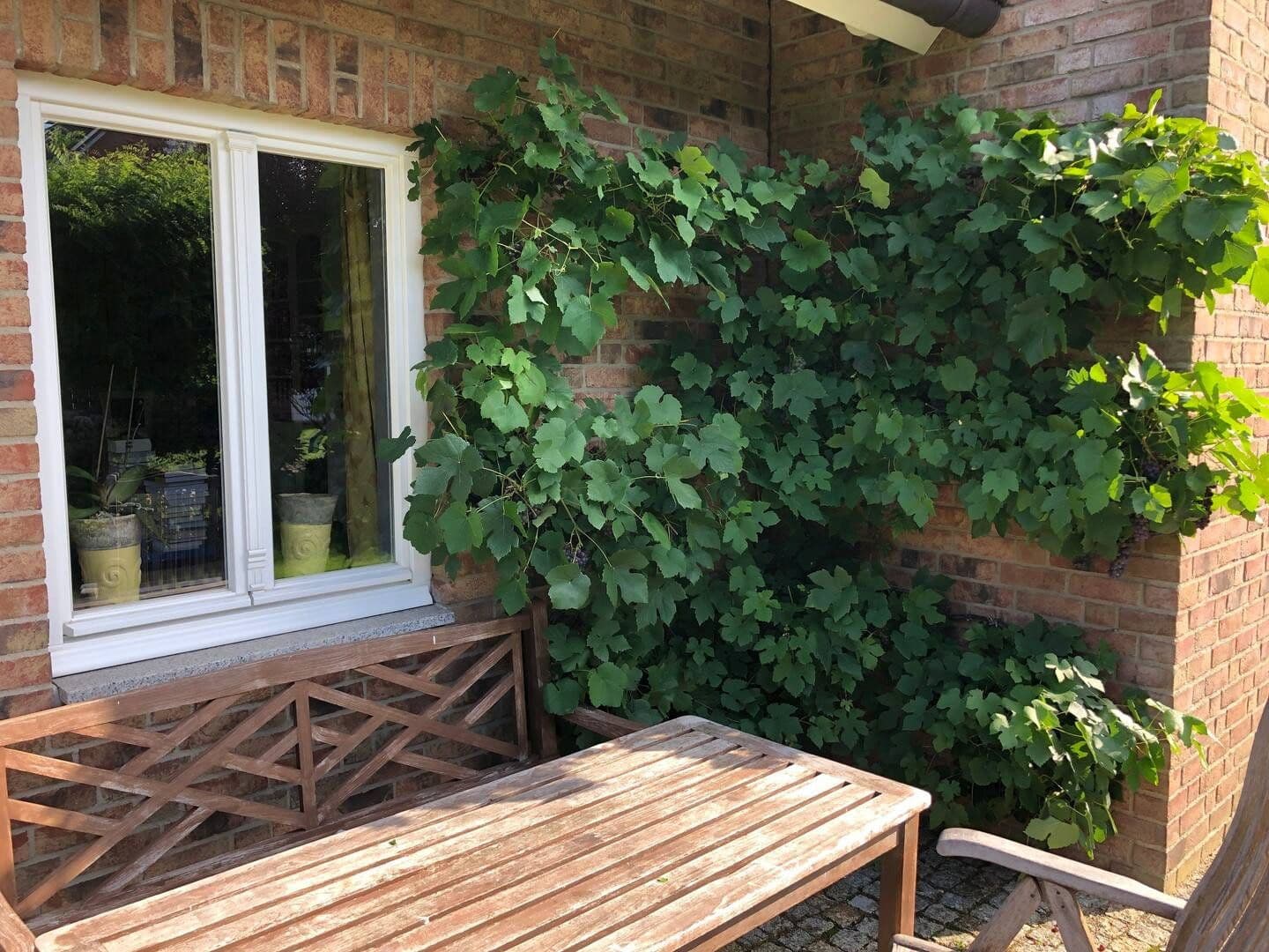 house for sale, 160 m², Leck, Schleswig-Holstein house for sale, 160 m², Leck, Schleswig-Holstein