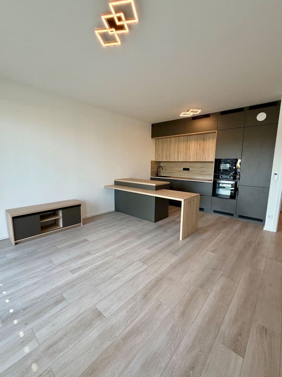1 bedroom with open-plan kitchen flat to rent, 62 m², U Engerthu, Kladno, Středočeský Region 1 bedroom with open-plan kitchen flat to rent, 62 m², U Engerthu, Kladno, Středočeský Region