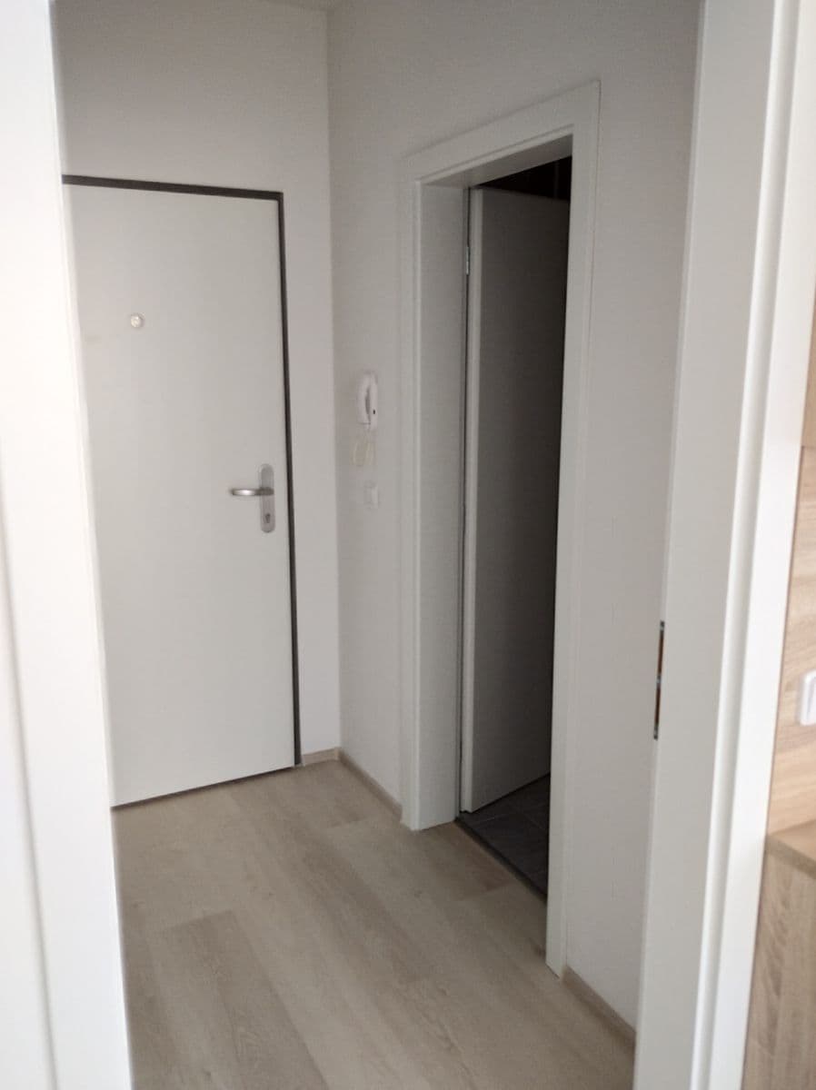 1 bedroom with open-plan kitchen flat to rent, 43 m², Eduarda Hamburgera, Olomouc, Olomoucký Region 1 bedroom with open-plan kitchen flat to rent, 43 m², Eduarda Hamburgera, Olomouc, Olomoucký Region