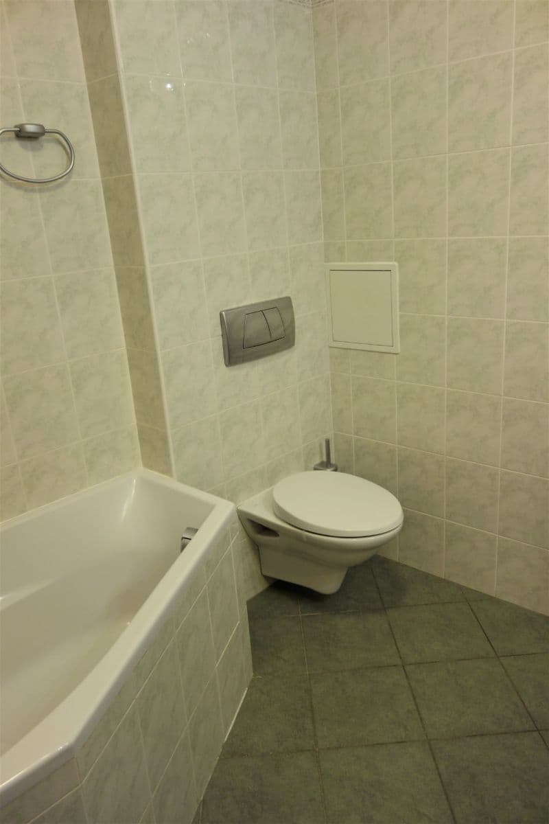 1 bedroom with open-plan kitchen flat to rent, 52 m², Naskové, Prague, Prague 1 bedroom with open-plan kitchen flat to rent, 52 m², Naskové, Prague, Prague