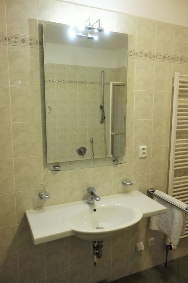 1 bedroom with open-plan kitchen flat to rent, 52 m², Naskové, Prague, Prague 1 bedroom with open-plan kitchen flat to rent, 52 m², Naskové, Prague, Prague