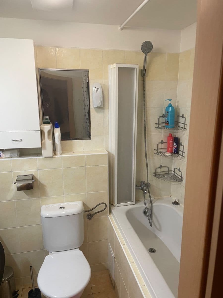 1 bedroom with open-plan kitchen flat to rent, 78 m², Herlíkovická, Prague, Prague 1 bedroom with open-plan kitchen flat to rent, 78 m², Herlíkovická, Prague, Prague