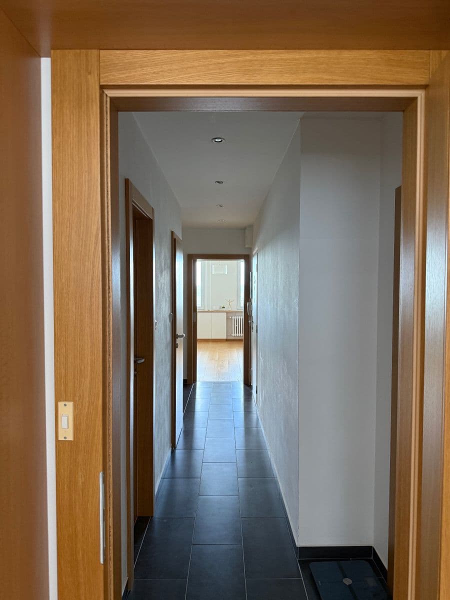 2 bedroom with open-plan kitchen flat for sale, 77 m², Láskova, Prague, Prague 2 bedroom with open-plan kitchen flat for sale, 77 m², Láskova, Prague, Prague