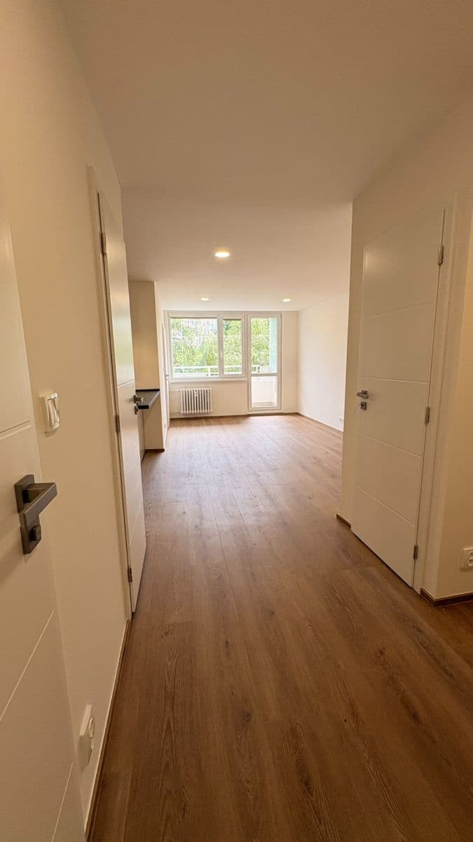 1 bedroom with open-plan kitchen flat to rent, 48 m², Brdičkova, Prague, Prague 1 bedroom with open-plan kitchen flat to rent, 48 m², Brdičkova, Prague, Prague