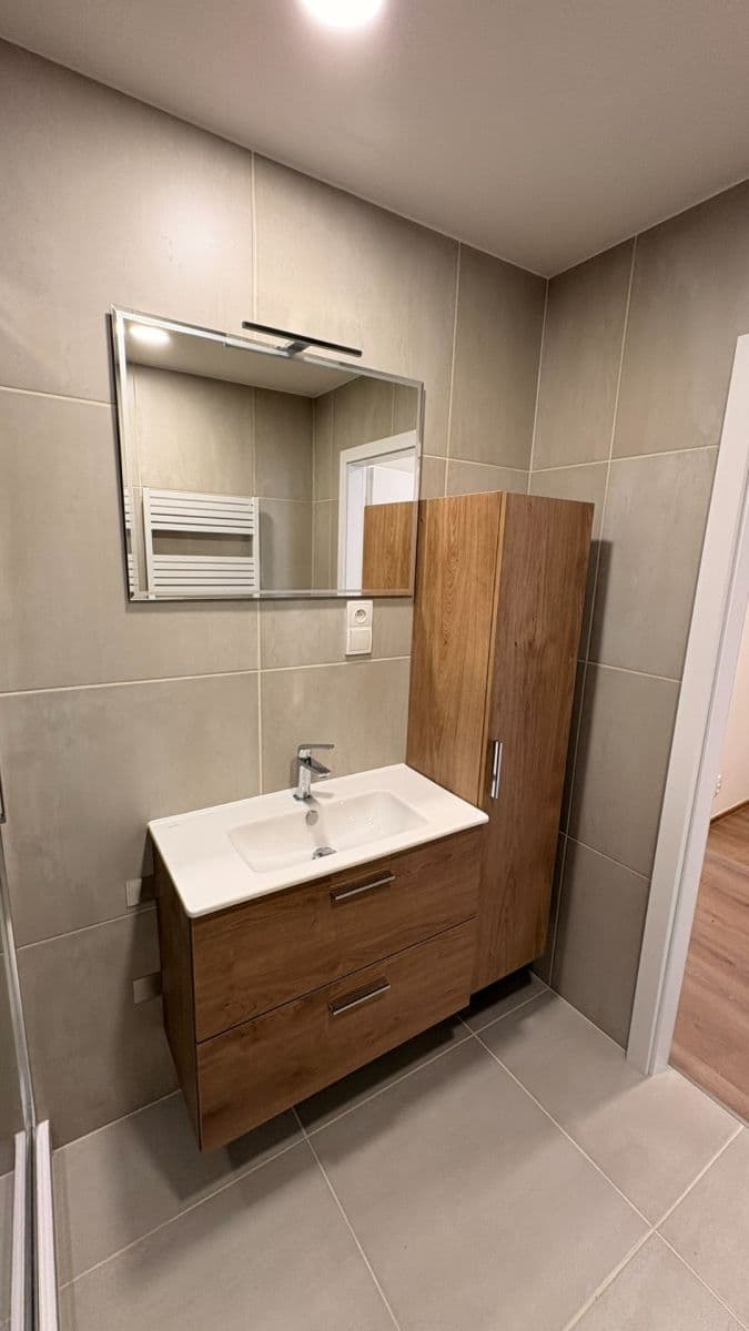 1 bedroom with open-plan kitchen flat to rent, 48 m², Brdičkova, Prague, Prague 1 bedroom with open-plan kitchen flat to rent, 48 m², Brdičkova, Prague, Prague