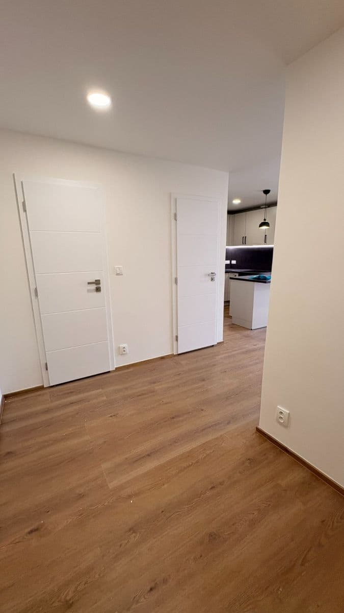 1 bedroom with open-plan kitchen flat to rent, 48 m², Brdičkova, Prague, Prague 1 bedroom with open-plan kitchen flat to rent, 48 m², Brdičkova, Prague, Prague