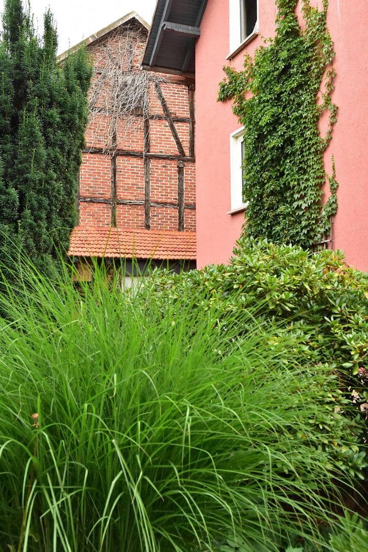 plot for sale, 20,000 m², Haunetal, Hesse plot for sale, 20,000 m², Haunetal, Hesse