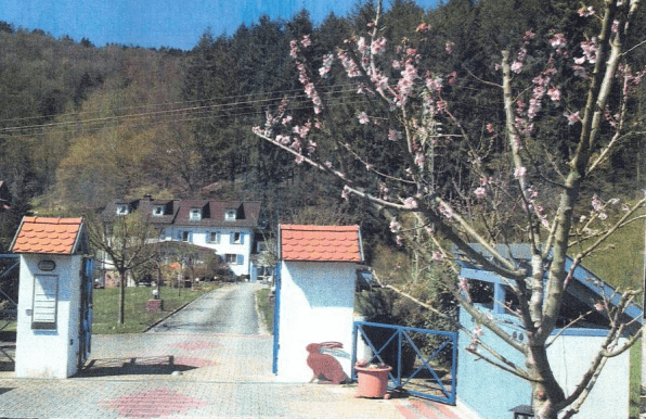 house for sale, 400 m², Oberzent, Hesse house for sale, 400 m², Oberzent, Hesse