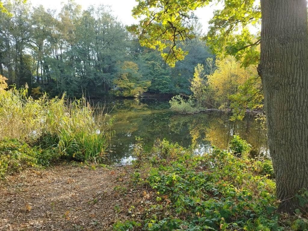 house for sale, 114 m², Waidmannsring, 5, Quickborn, Schleswig-Holstein house for sale, 114 m², Waidmannsring, 5, Quickborn, Schleswig-Holstein