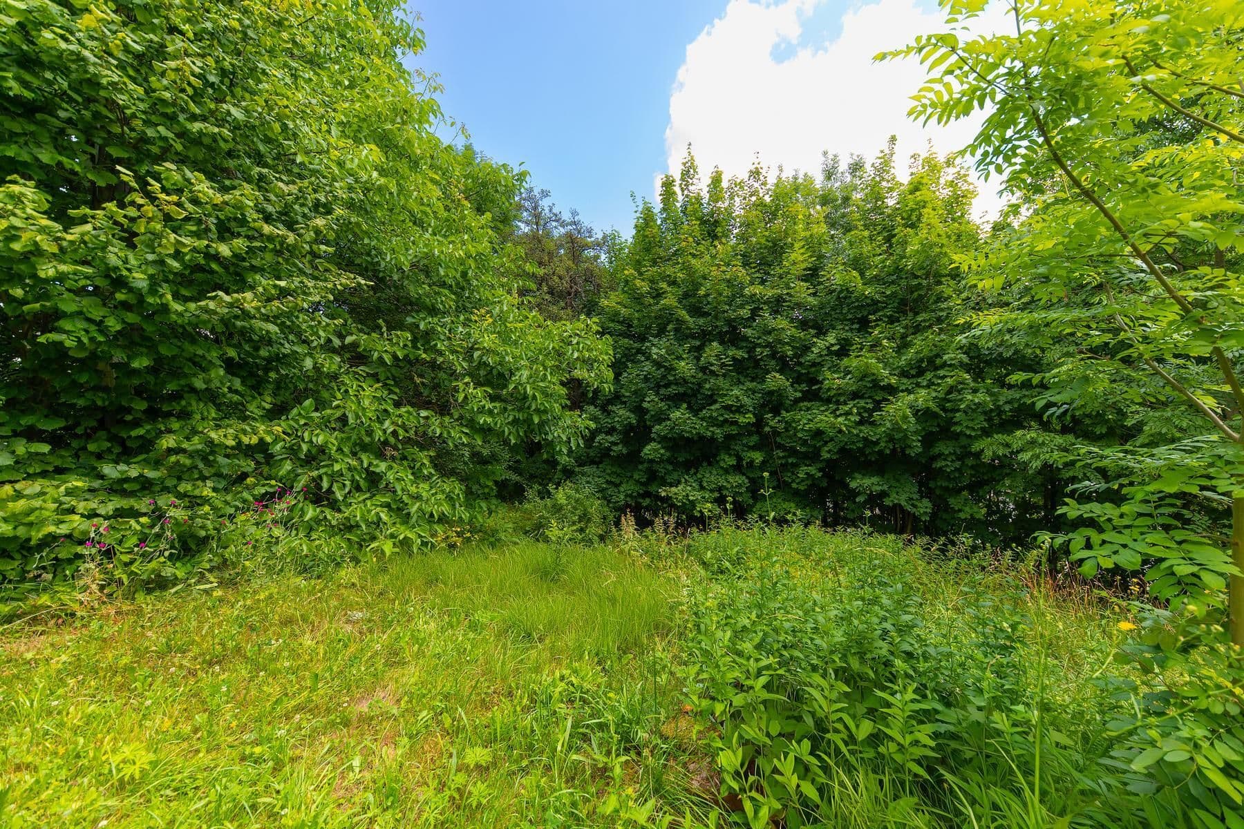 plot for sale, 743 m², Písařov, Olomoucký Region plot for sale, 743 m², Písařov, Olomoucký Region