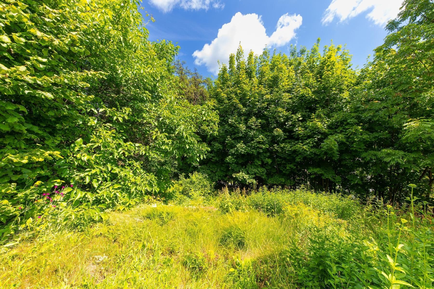 plot for sale, 743 m², Písařov, Olomoucký Region plot for sale, 743 m², Písařov, Olomoucký Region
