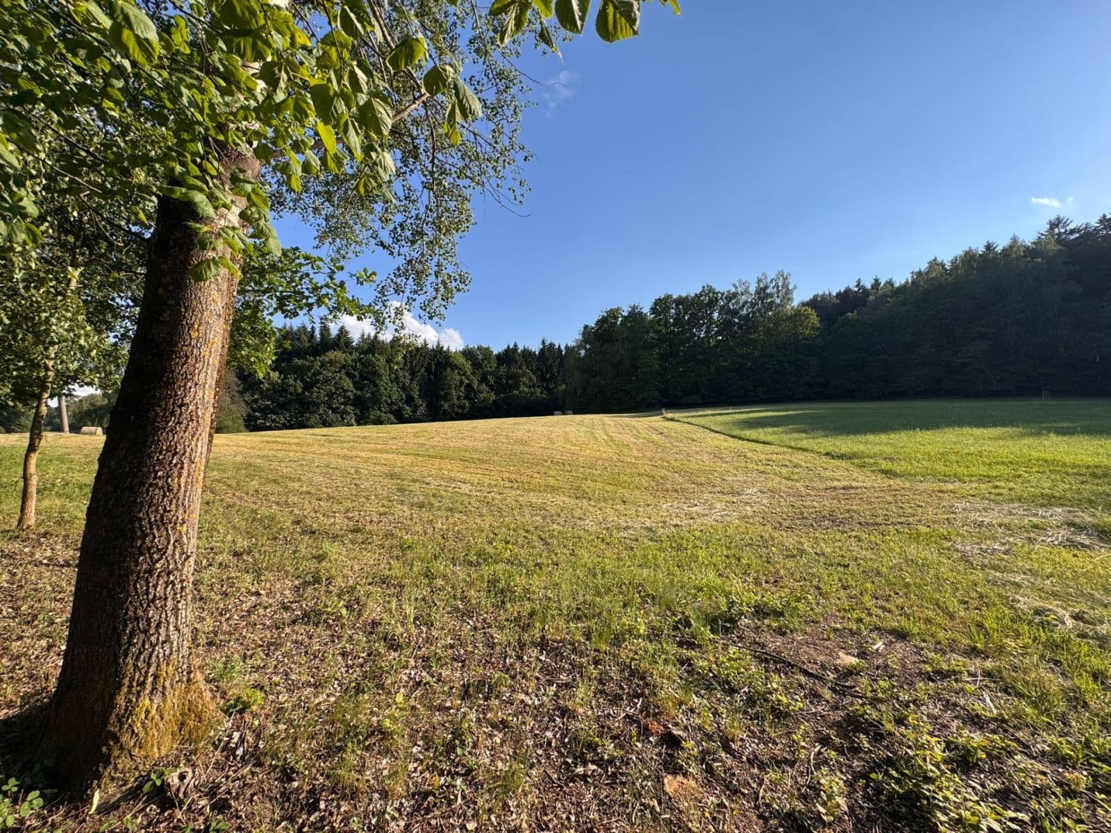 plot for sale, 7,125 m², Pec, Plzeňský Region plot for sale, 7,125 m², Pec, Plzeňský Region