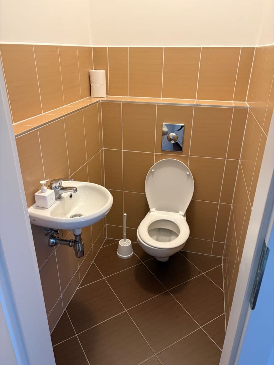 1 bedroom with open-plan kitchen flat to rent, 64 m², Nad Smetankou, Prague, Prague 1 bedroom with open-plan kitchen flat to rent, 64 m², Nad Smetankou, Prague, Prague