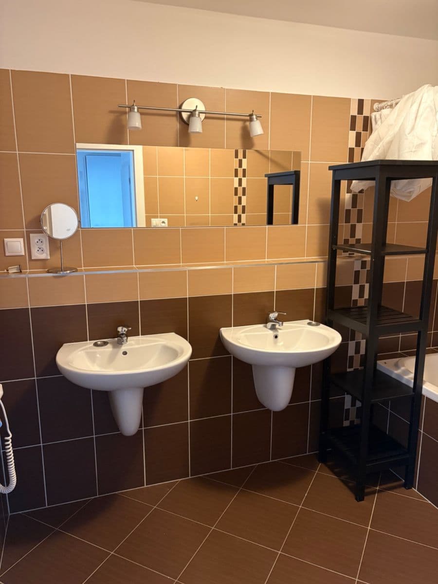1 bedroom with open-plan kitchen flat to rent, 64 m², Nad Smetankou, Prague, Prague 1 bedroom with open-plan kitchen flat to rent, 64 m², Nad Smetankou, Prague, Prague