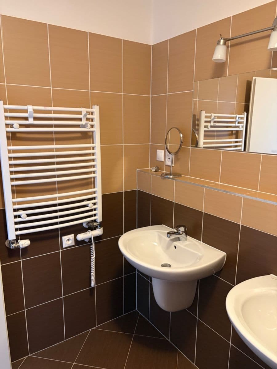 1 bedroom with open-plan kitchen flat to rent, 64 m², Nad Smetankou, Prague, Prague 1 bedroom with open-plan kitchen flat to rent, 64 m², Nad Smetankou, Prague, Prague