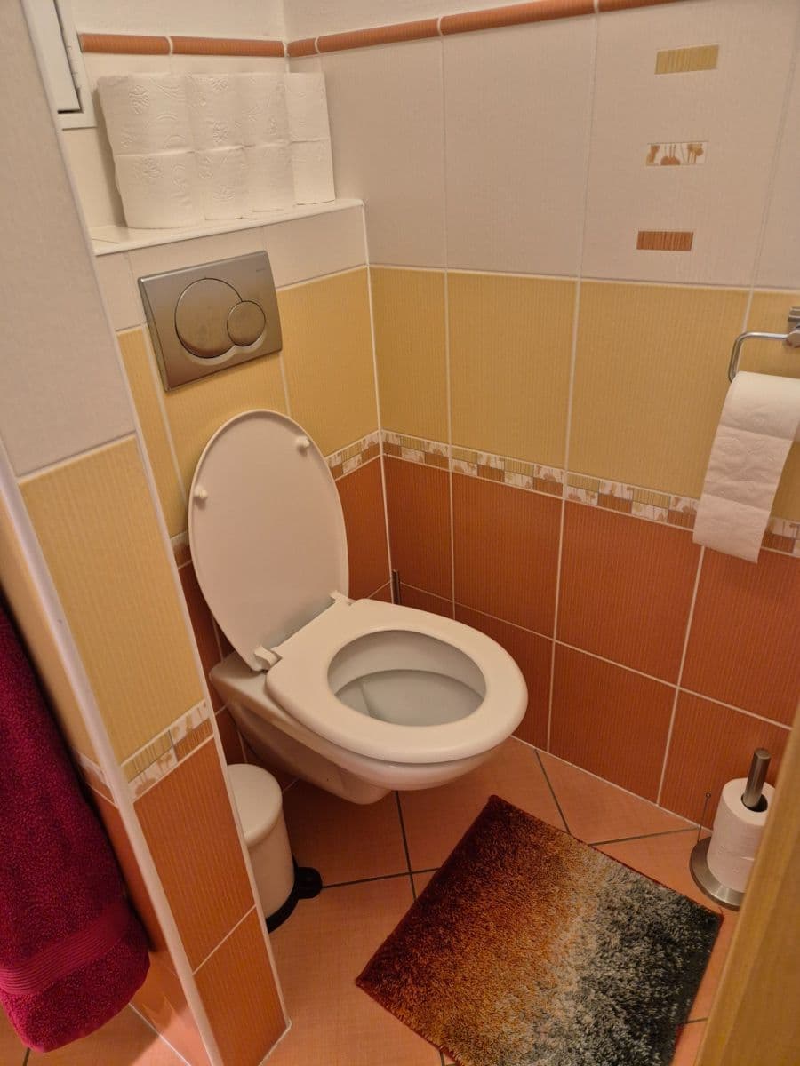 1 bedroom with open-plan kitchen flat to rent, 55 m², Poláčkova, Jihlava, Vysočina Region 1 bedroom with open-plan kitchen flat to rent, 55 m², Poláčkova, Jihlava, Vysočina Region