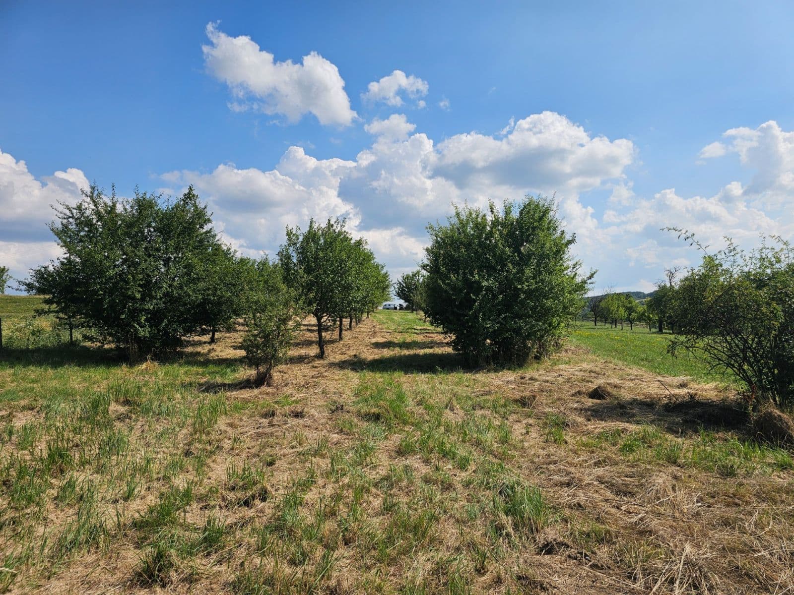 plot for sale, 2,492 m², Doubravy, Zlínský Region plot for sale, 2,492 m², Doubravy, Zlínský Region