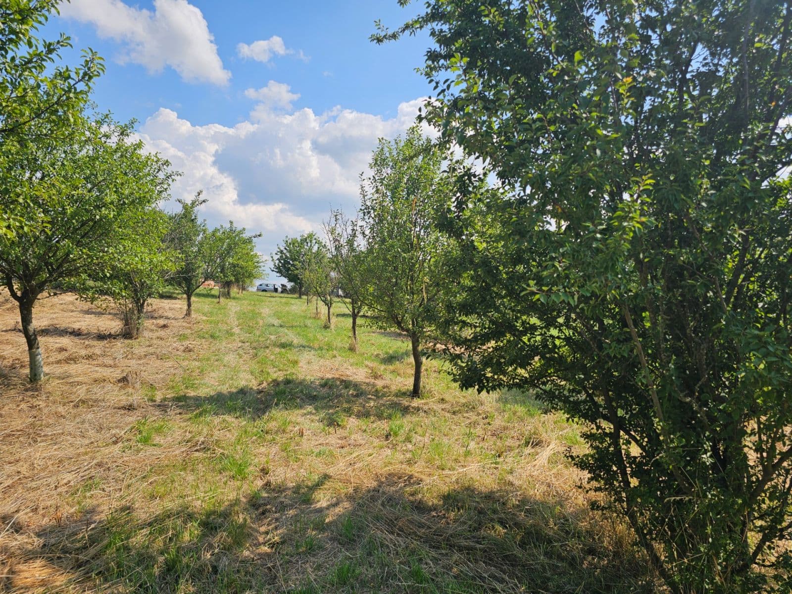 plot for sale, 2,492 m², Doubravy, Zlínský Region plot for sale, 2,492 m², Doubravy, Zlínský Region