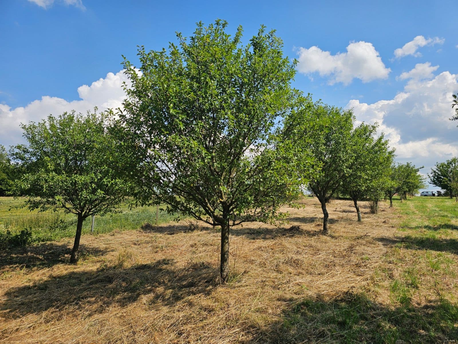 plot for sale, 2,492 m², Doubravy, Zlínský Region plot for sale, 2,492 m², Doubravy, Zlínský Region
