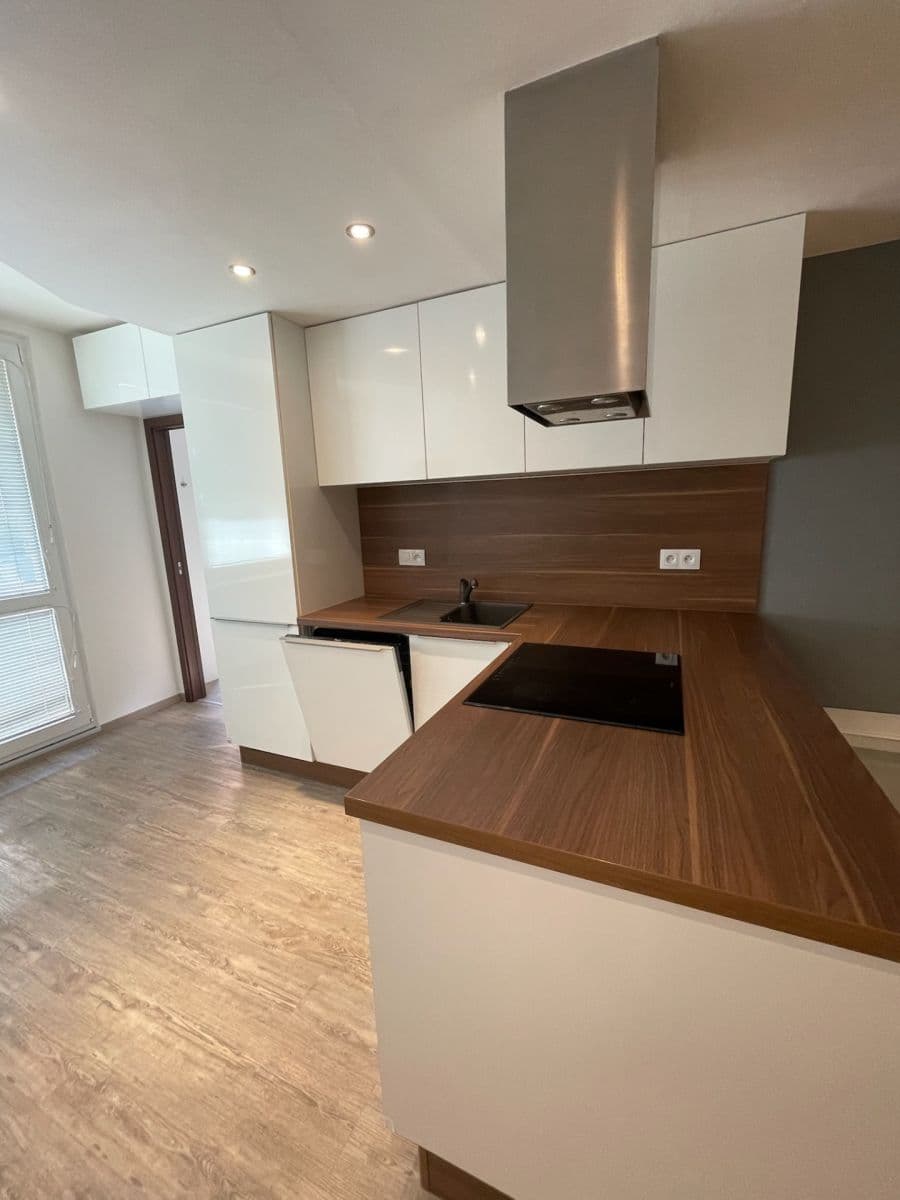 1 bedroom with open-plan kitchen flat to rent, 44 m², Pospíchalova, Prague, Prague 1 bedroom with open-plan kitchen flat to rent, 44 m², Pospíchalova, Prague, Prague