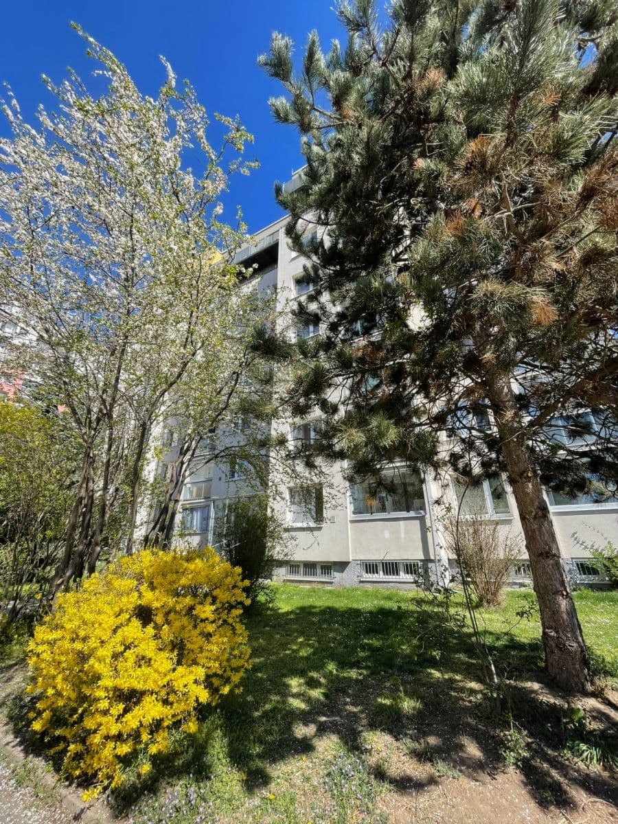 1 bedroom with open-plan kitchen flat to rent, 44 m², Pospíchalova, Prague, Prague 1 bedroom with open-plan kitchen flat to rent, 44 m², Pospíchalova, Prague, Prague