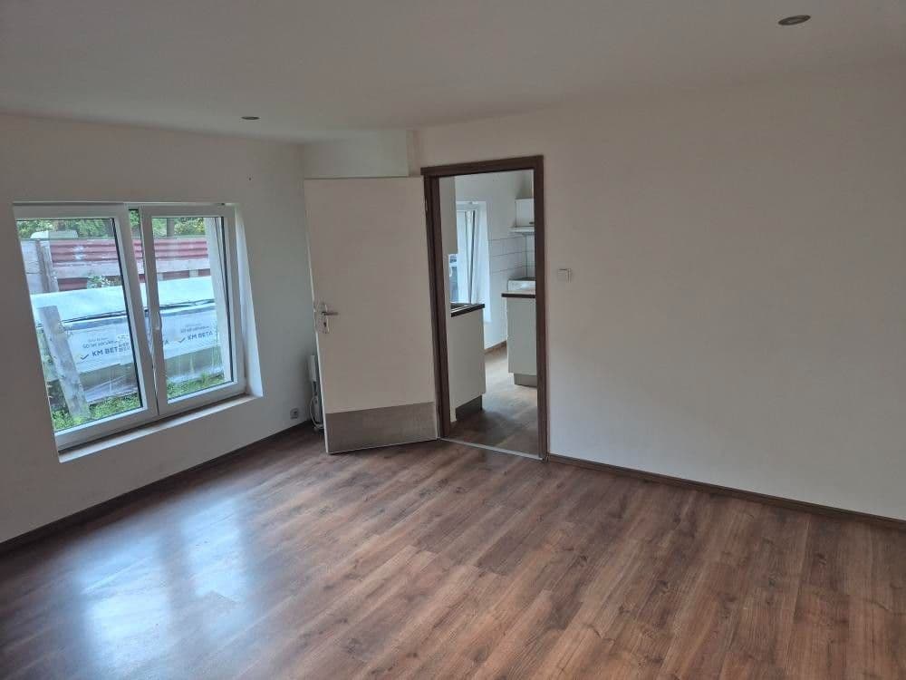 1 bedroom with open-plan kitchen flat to rent, 47 m², Dukelská, Horní Jelení, Pardubický Region 1 bedroom with open-plan kitchen flat to rent, 47 m², Dukelská, Horní Jelení, Pardubický Region