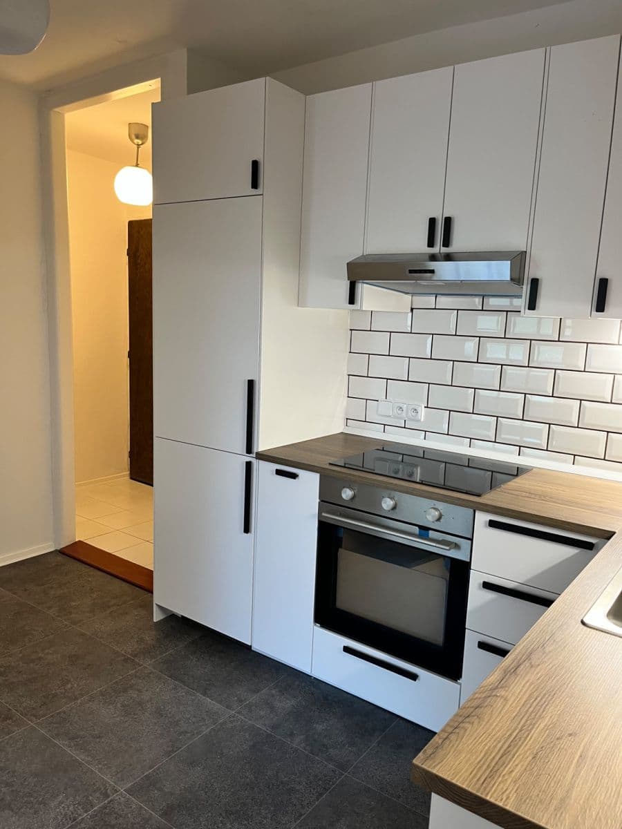 1 bedroom with open-plan kitchen flat to rent, 52 m², Puškinovo náměstí, Prague, Prague 1 bedroom with open-plan kitchen flat to rent, 52 m², Puškinovo náměstí, Prague, Prague