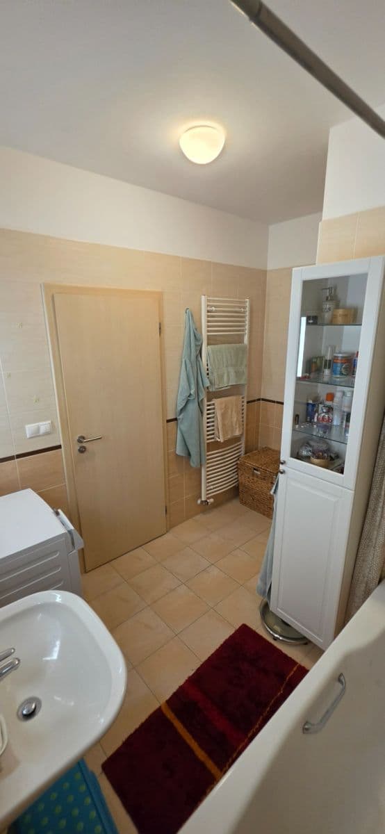 1 bedroom with open-plan kitchen flat to rent, 63 m², Bratislavská, Prague, Prague 1 bedroom with open-plan kitchen flat to rent, 63 m², Bratislavská, Prague, Prague