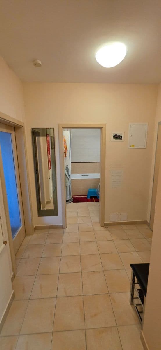 1 bedroom with open-plan kitchen flat to rent, 63 m², Bratislavská, Prague, Prague 1 bedroom with open-plan kitchen flat to rent, 63 m², Bratislavská, Prague, Prague