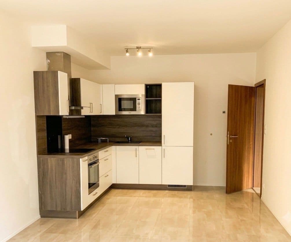 1 bedroom with open-plan kitchen flat to rent, 60 m², Prague, Prague 1 bedroom with open-plan kitchen flat to rent, 60 m², Prague, Prague