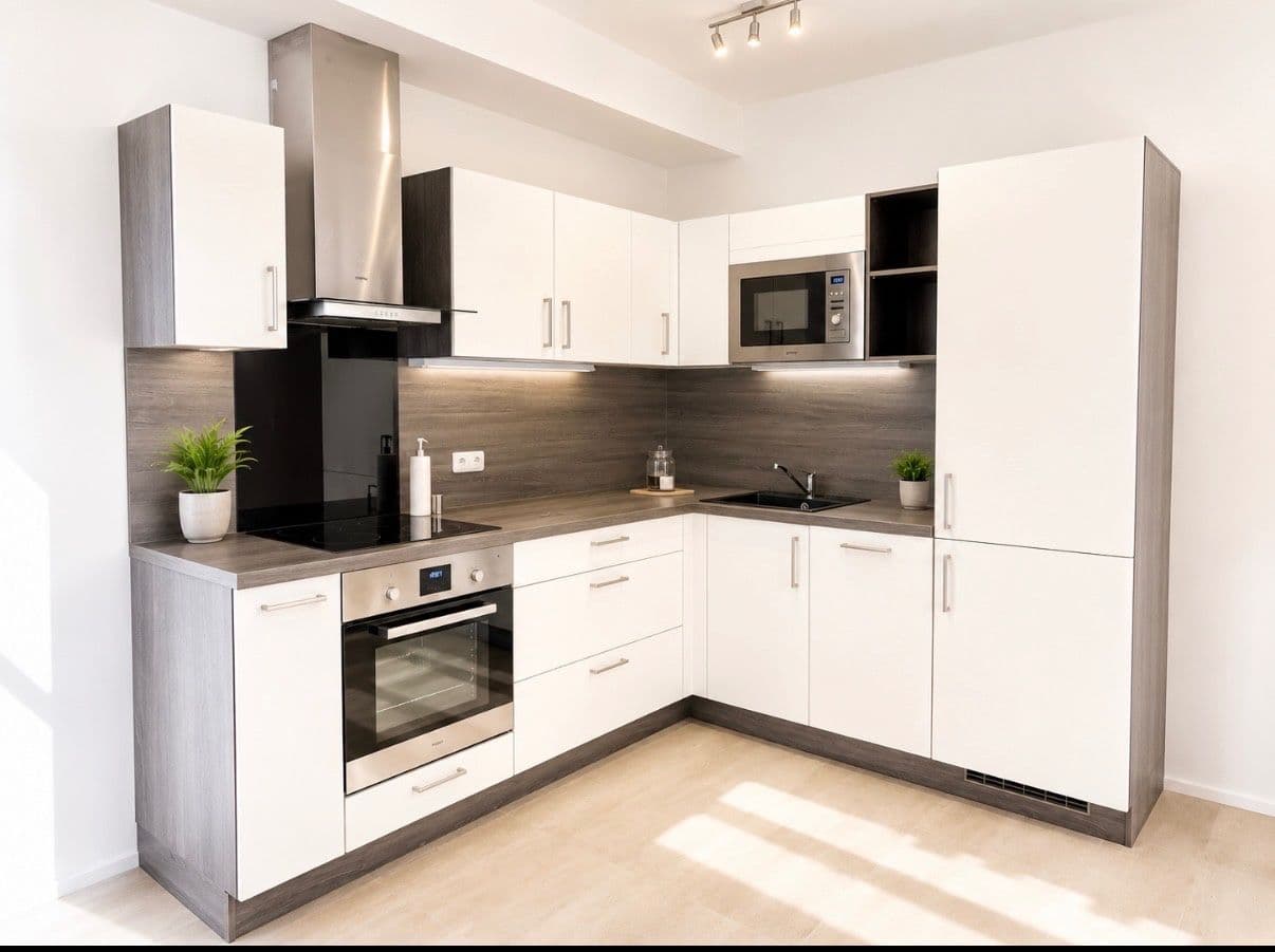 1 bedroom with open-plan kitchen flat to rent, 60 m², Prague, Prague 1 bedroom with open-plan kitchen flat to rent, 60 m², Prague, Prague