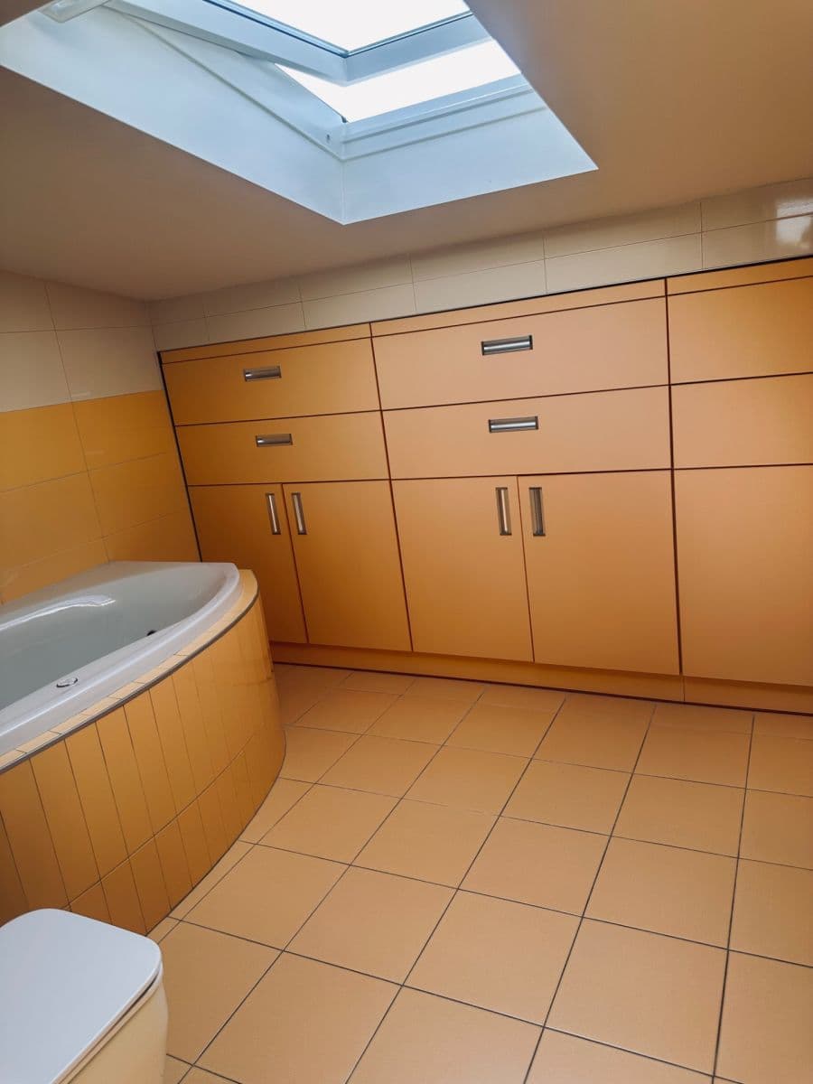2 bedroom with open-plan kitchen flat for sale, 122 m², Lublaňská, Prague, Prague 2 bedroom with open-plan kitchen flat for sale, 122 m², Lublaňská, Prague, Prague