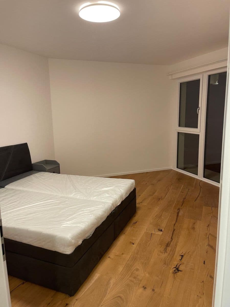 1 bedroom with open-plan kitchen flat to rent, 66 m², Ramonova, Prague, Prague 1 bedroom with open-plan kitchen flat to rent, 66 m², Ramonova, Prague, Prague