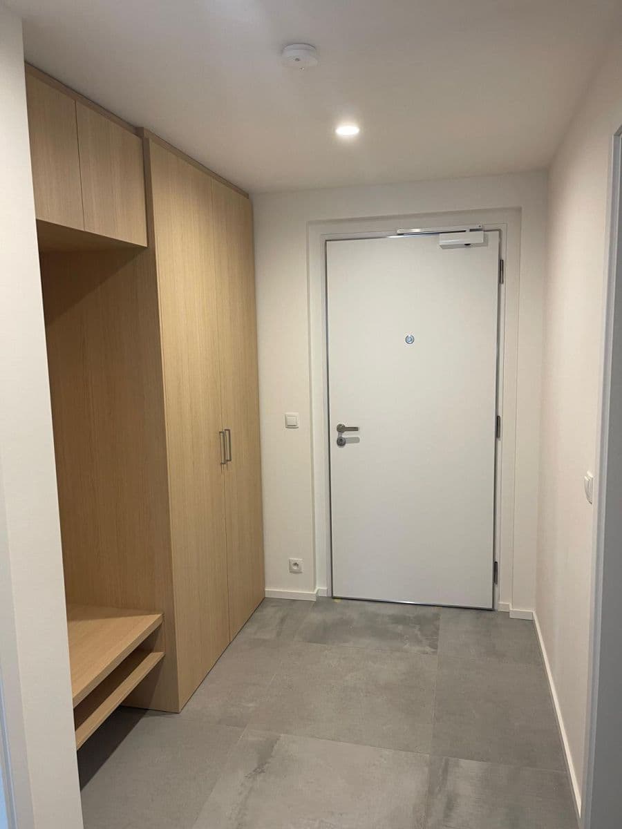 1 bedroom with open-plan kitchen flat to rent, 66 m², Ramonova, Prague, Prague 1 bedroom with open-plan kitchen flat to rent, 66 m², Ramonova, Prague, Prague